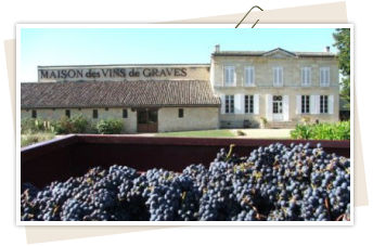 vendanges à la Maison des Vins de Graves Maison des vins de Graves
