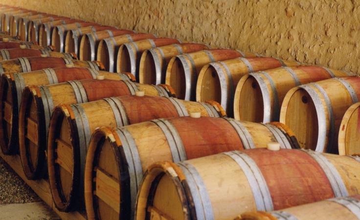 CHAIS A BARRIQUES DU CHATEAU MAGENCE